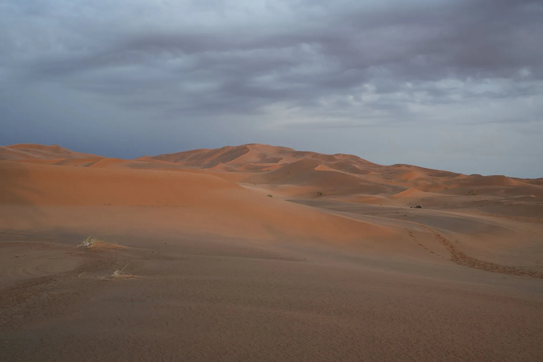 Dunes dorées de l'Erg Chebbi près de Merzouga au Maroc